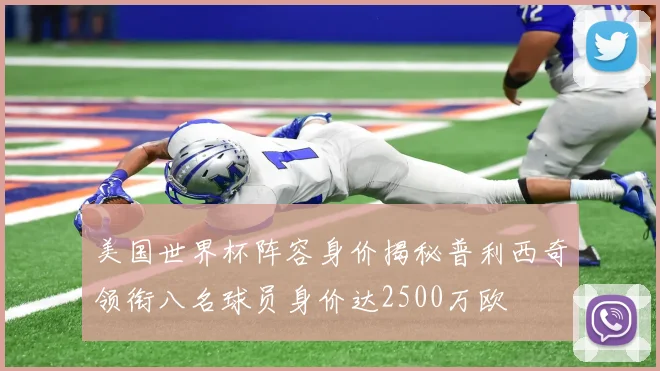 美国世界杯阵容身价揭秘普利西奇领衔八名球员身价达2500万欧