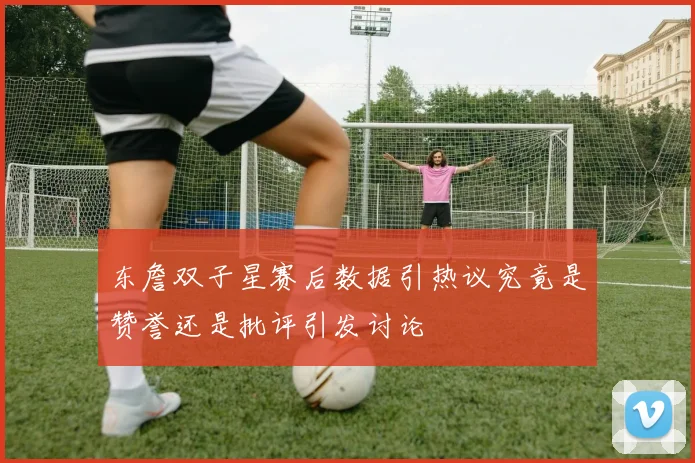 东詹双子星赛后数据引热议究竟是赞誉还是批评引发讨论