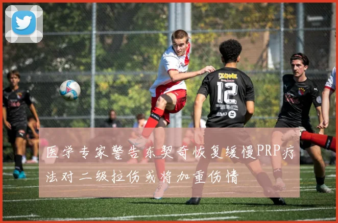 医学专家警告东契奇恢复缓慢PRP疗法对二级拉伤或将加重伤情